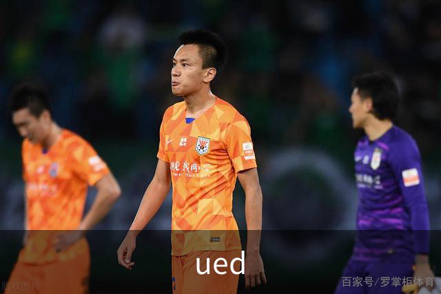 ued公司形象图